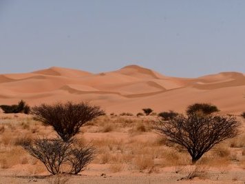 'Uruq Bani Ma'arid by Randi Thomsen