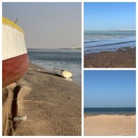 Banc d'Arguin by Els Slots