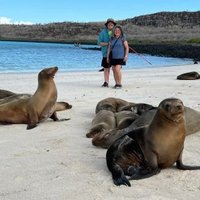 Galapagos Islands by Carl Le Boeuf