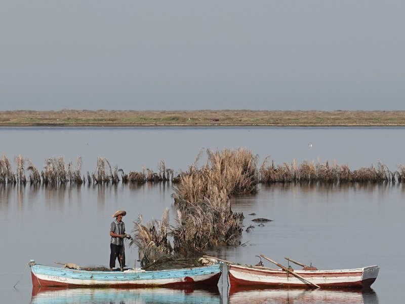 Fishing scene in Djerba island