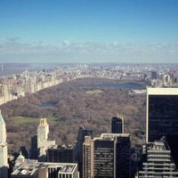 Central Park by Andrew_Kerr