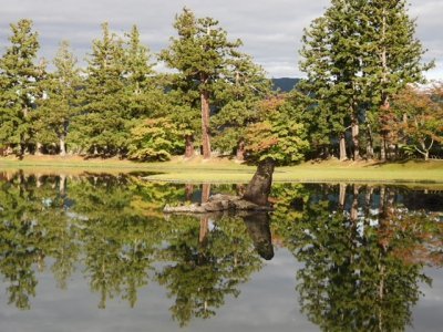 Hiraizumi by Lithobates