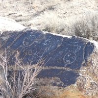 Petrified Forest National Park by Lithobates