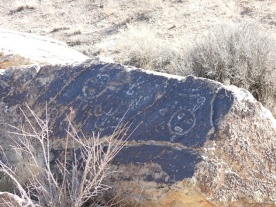 Petrified Forest National Park by Lithobates