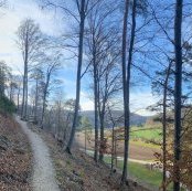 Caves and Ice Age Art by puessergio