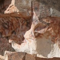 Cueva de las Manos by Kbecq