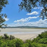 Ichkeul National Park by Shandos Cleaver