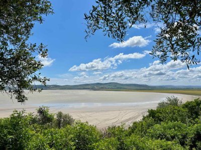 Ichkeul National Park by Shandos Cleaver