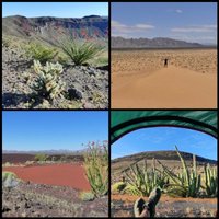El Pinacate by Clyde