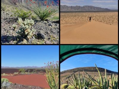El Pinacate by Clyde