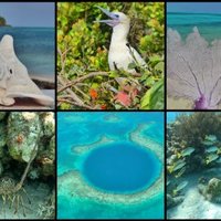 Belize Barrier Reef by Clyde