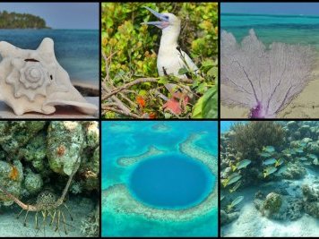 Belize Barrier Reef by Clyde