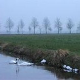 Beemster Polder by Joyce van Soest