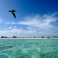 Tubbataha Reefs by Boj