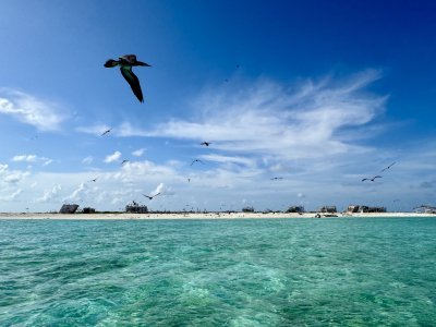 Tubbataha Reefs by Boj