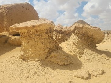 Wadi Al-Hitan by Frédéric M