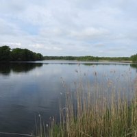 Green Belt by Lithobates