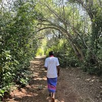 Mijikenda Kaya Forests by Els Slots