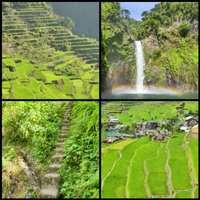 Rice Terraces of the Philippine Cordilleras by Clyde