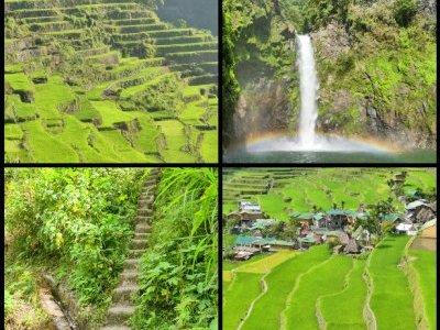 Rice Terraces of the Philippine Cordilleras by Clyde