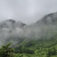 Hubei Shennongjia by Patrik