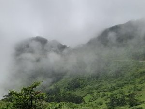 Hubei Shennongjia by Patrik