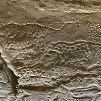 Petroglyphs along the Bangucheon Stream by Frederik Dawson