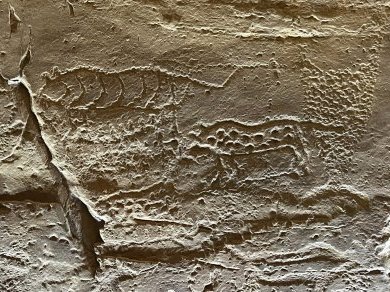 Petroglyphs along the Bangucheon Stream by Frederik Dawson