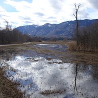 Alpine and pre-alpine meadows