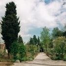 Botanical Garden, Padua by David Berlanda