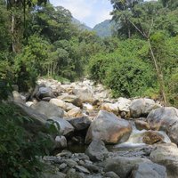 Nyamwamba River Rwenzori