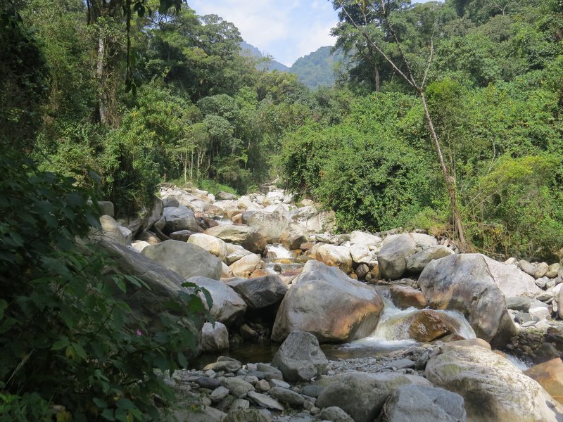 Rwenzori Mountains by Els Slots