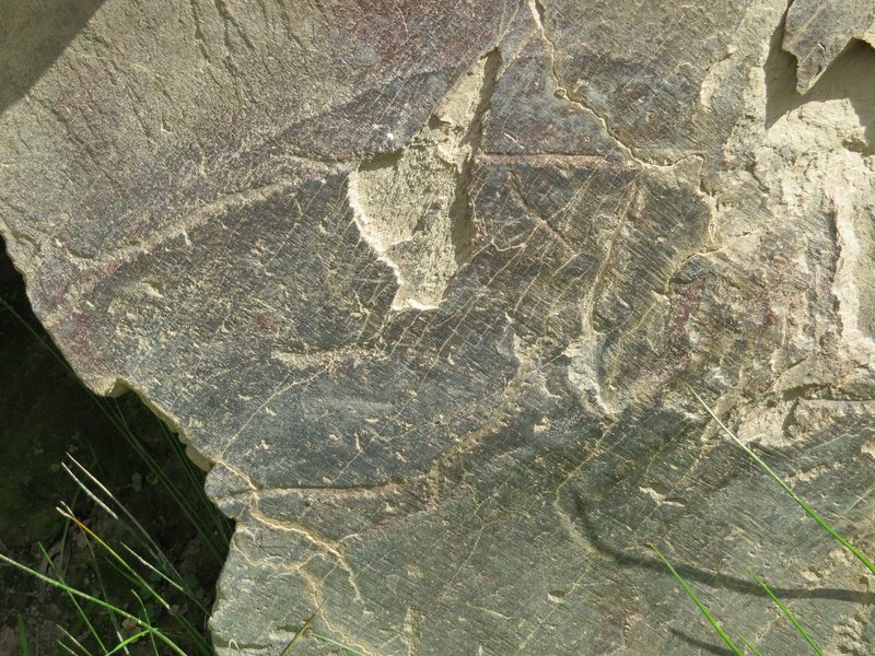 Fish petroglyph at Penascosa, Coa Valley