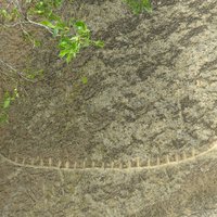 Gobustan Rock Art - a ship
