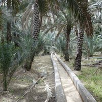 Falaj at Al Ain Oasis