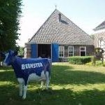 Beemster Polder by Ian Cade