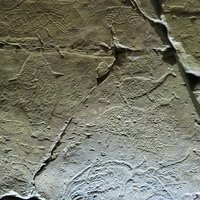 Petroglyphs in Bangudae Valley