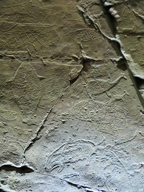 Petroglyphs in Bangudae Valley