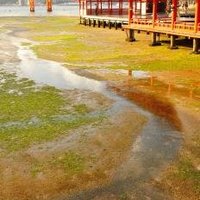 Itsukushima Shrine by Frederik Dawson