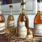 Tokaji Wine Region by Christer Sundberg