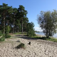 Curonian Spit