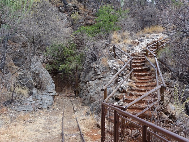 Fossil Hominid Sites Makapan