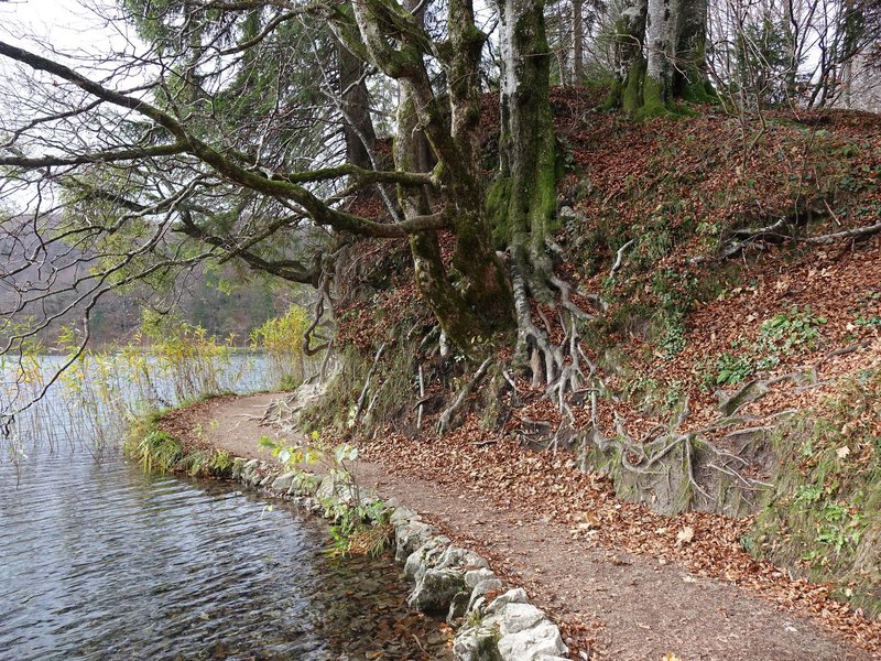 Plitvice Lakes Hiking path