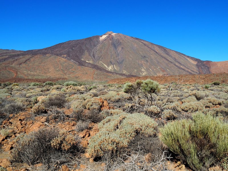 Teide-Pico Viejo