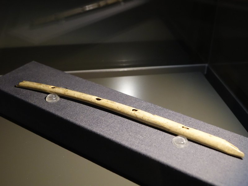 Caves and Ice Age Art