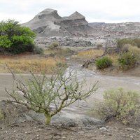 Ischigualasto