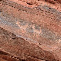 Talampaya Rock Art by Els