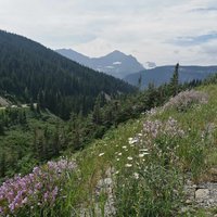 Waterton Glacier