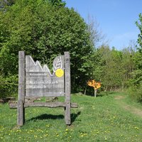 Plaque Hainich Beech Forest