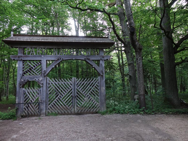 Białowieża Forest by Els Slots